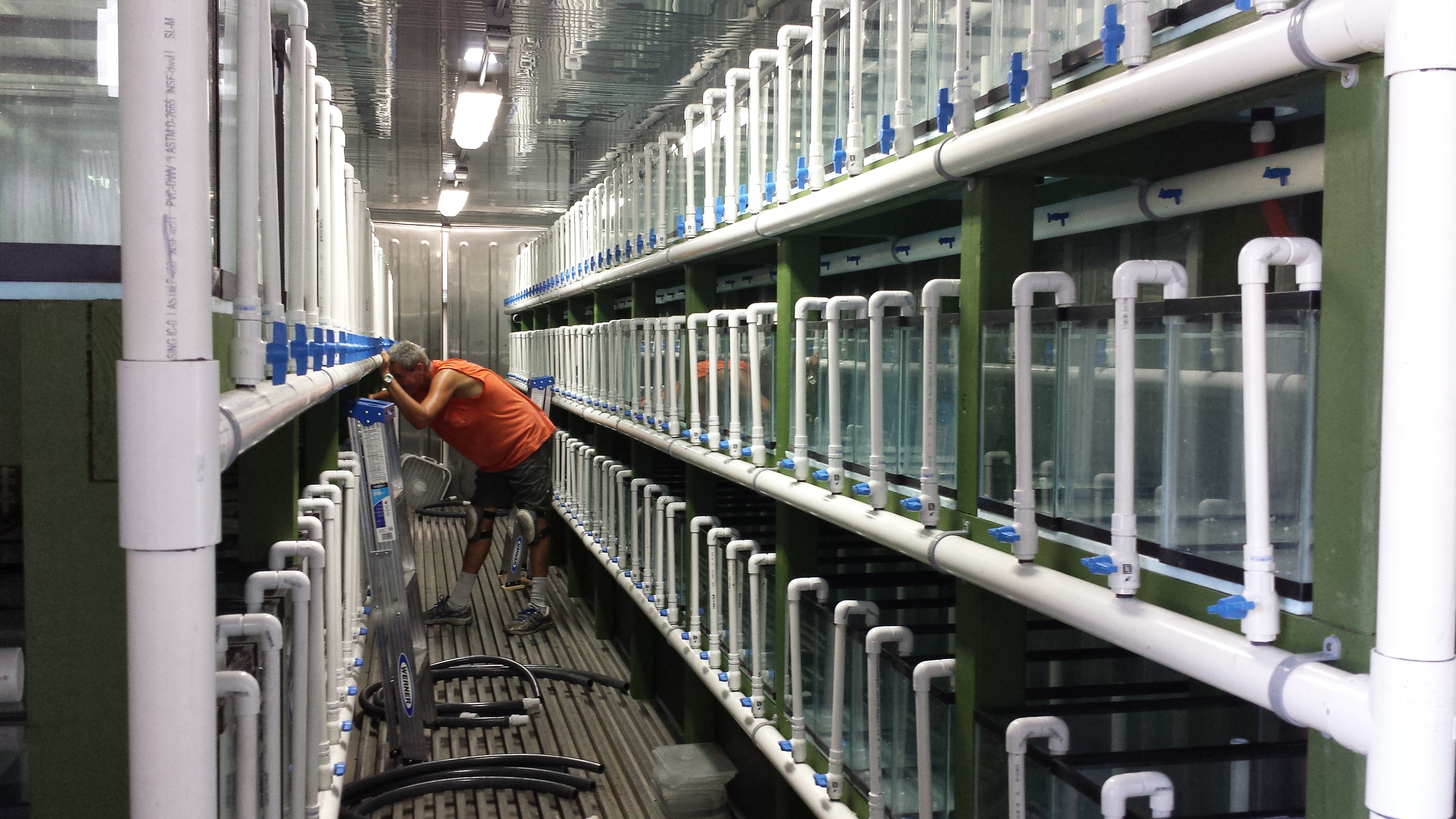 Broodstock Proaquatix